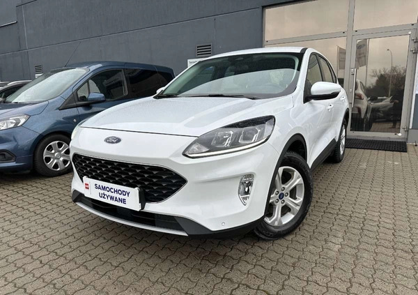 Ford Kuga cena 119900 przebieg: 30863, rok produkcji 2022 z Jastrzębie-Zdrój małe 596